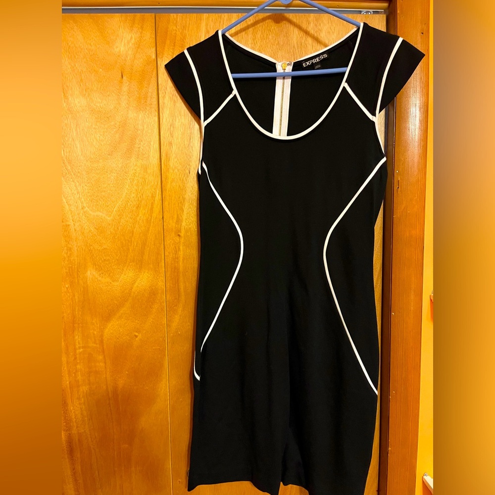 Express bodycon dress